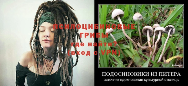 мескалин Красноперекопск