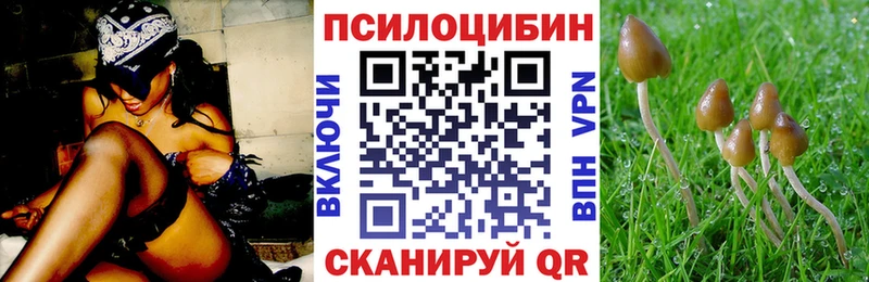 купить наркоту  Яблоновский  Псилоцибиновые грибы Magic Shrooms 